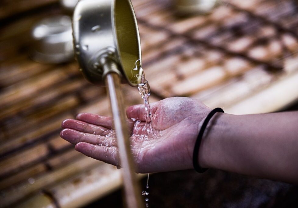 cici-hung-Ts_zPkMTU-U-unsplash