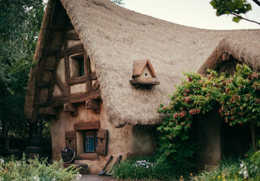 ella-de-kross-gu6Peq5INUk-unsplash