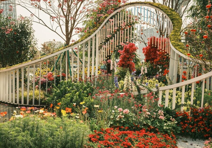 jason-sung-F9r9fmIiWXk-unsplash