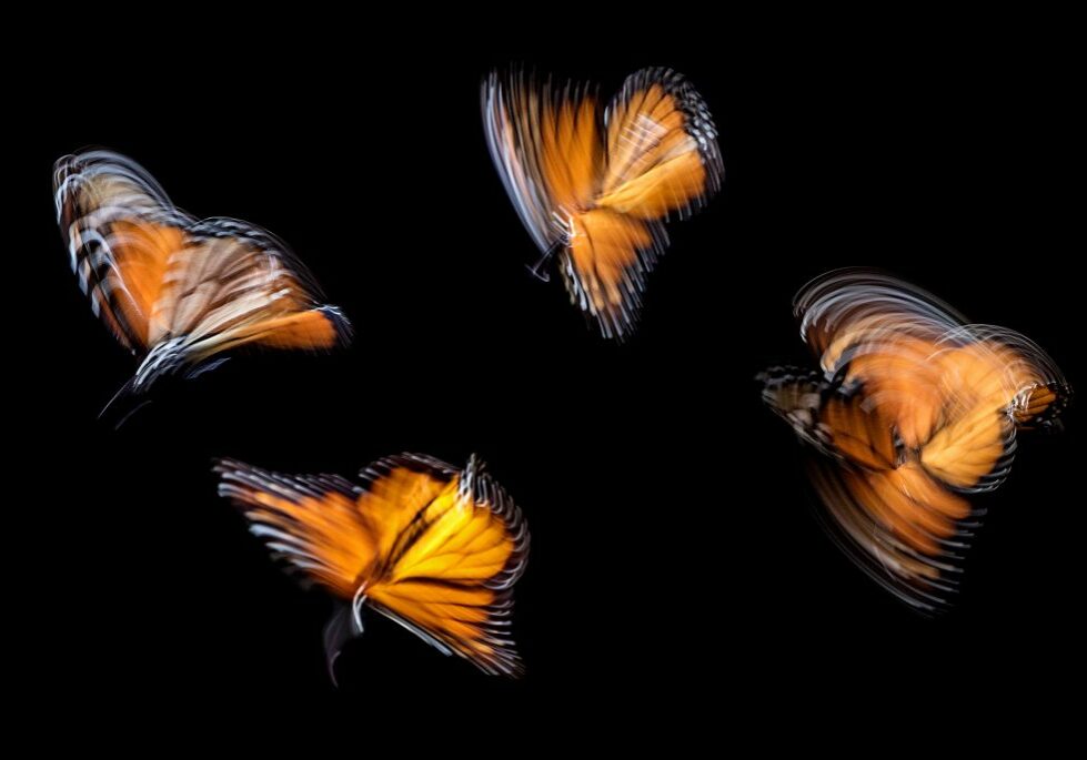 unternehmen-dialogkultur